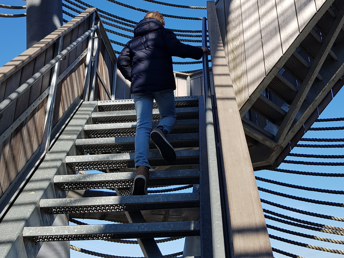 Prachtig zicht vanop de uitkijktoren Lommelse Sahara | Daymaker