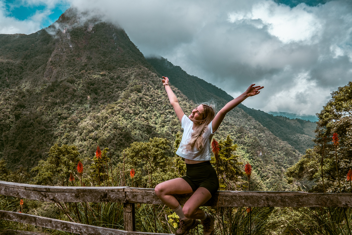 Hiken door Valle de Cocora - Colombia | Daymaker