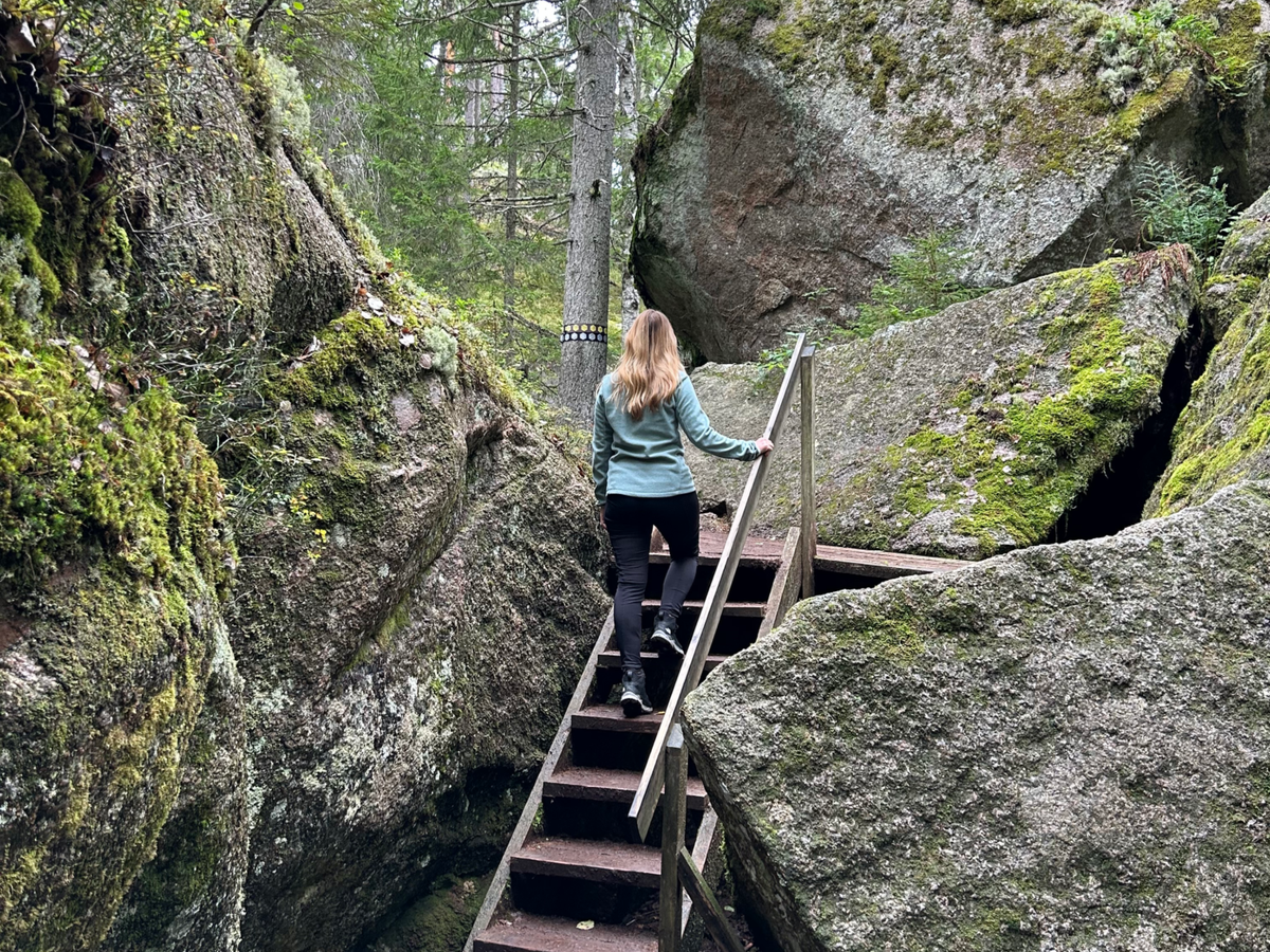 Hiking through an ancient forest in Tividen NP | Daymaker