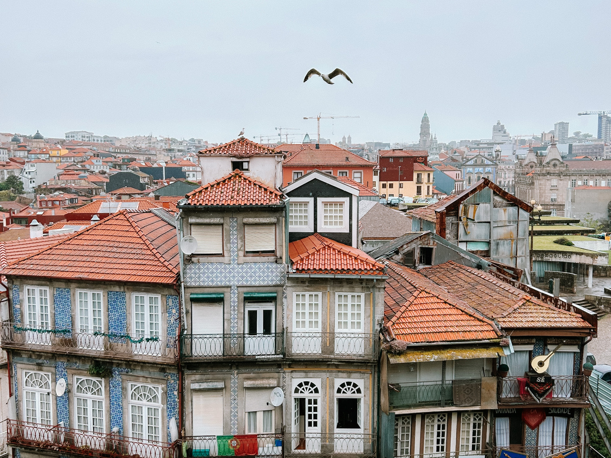 Unexpected viewpoint in Porto | Daymaker