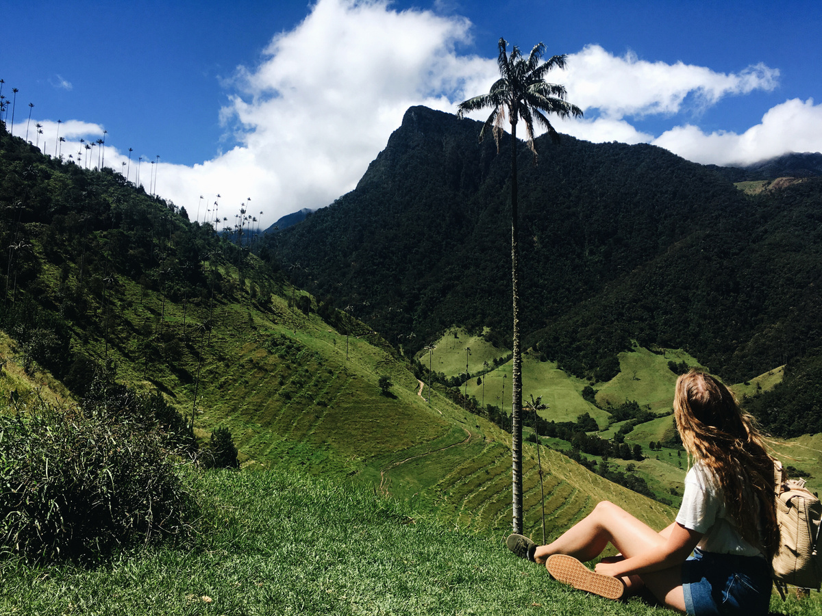 Cocora Valley | Daymaker