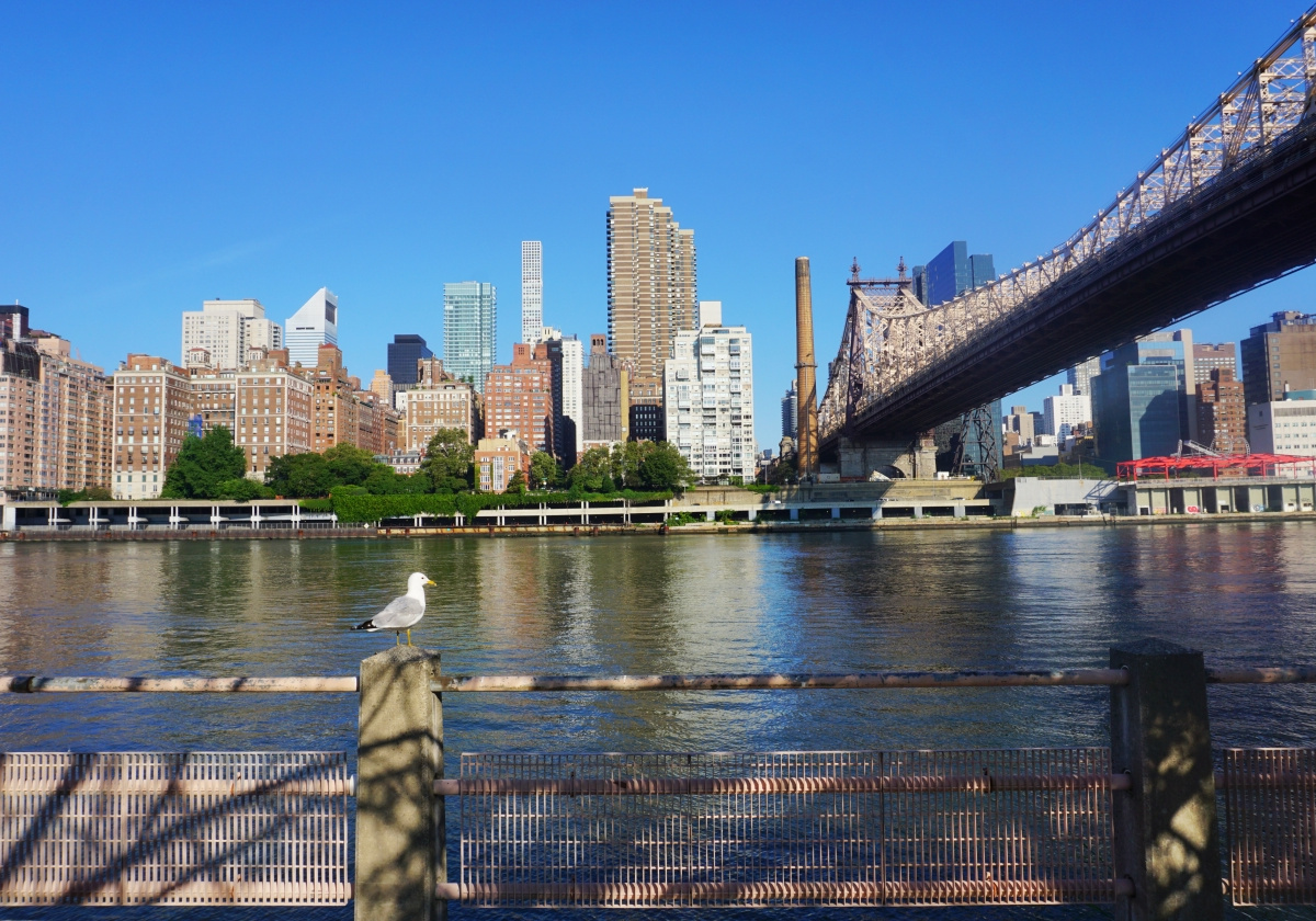 Hidden viewpoint in New York City | Daymaker