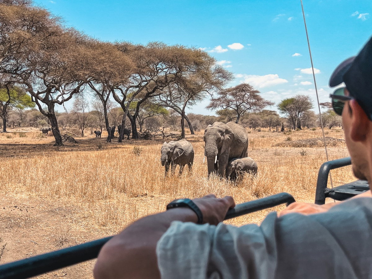 Safari in Tanzania | Daymaker