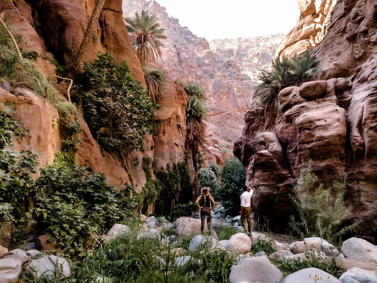 Wadi Ghuweir Hike. Wandel door een oase in Jordanië. | Daymaker