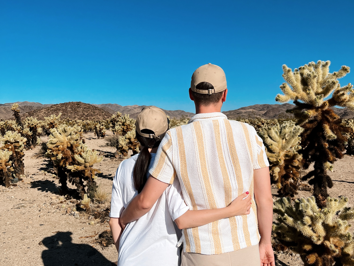 An unforgettable day trip to Joshua Tree National Park | Daymaker