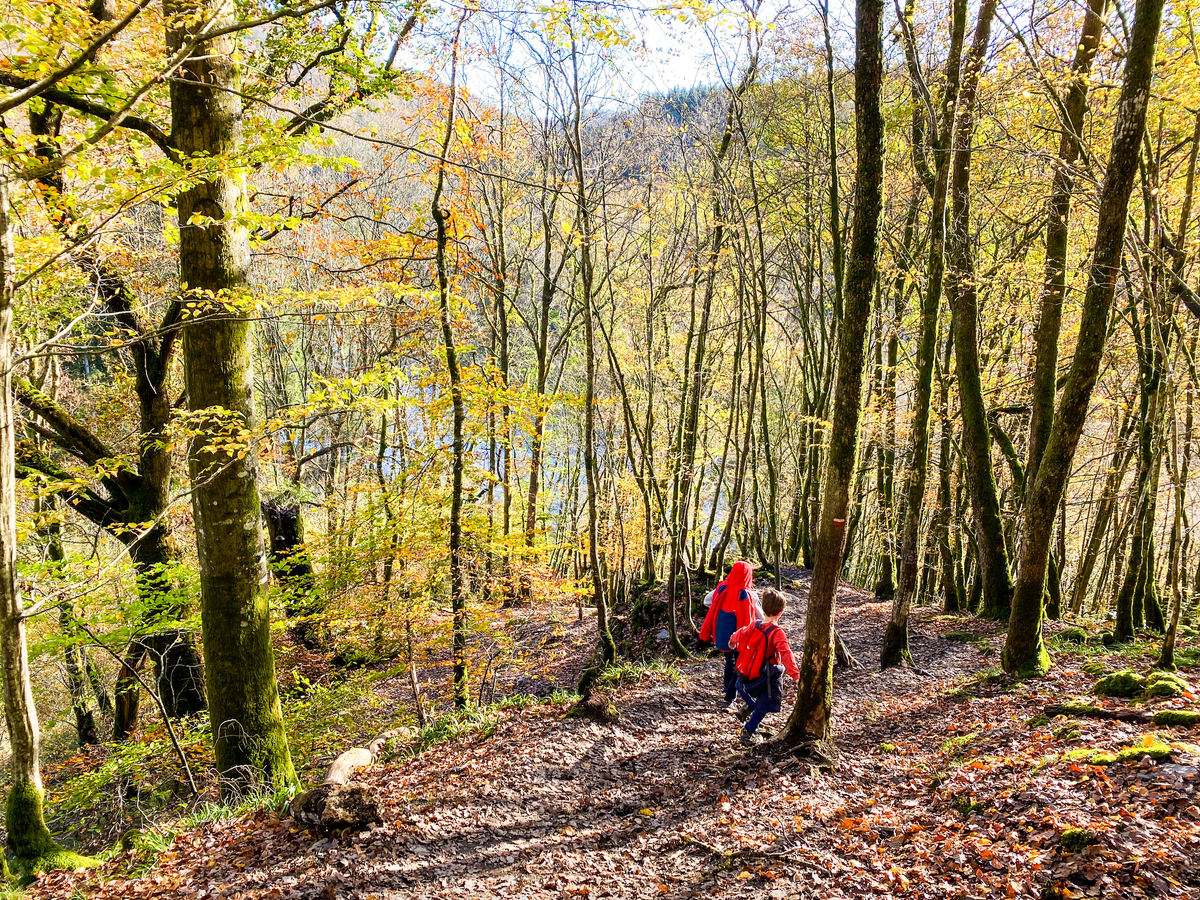 5 wandelingen in de Ardennen (goedgekeurd door kinderen!) | Daymaker