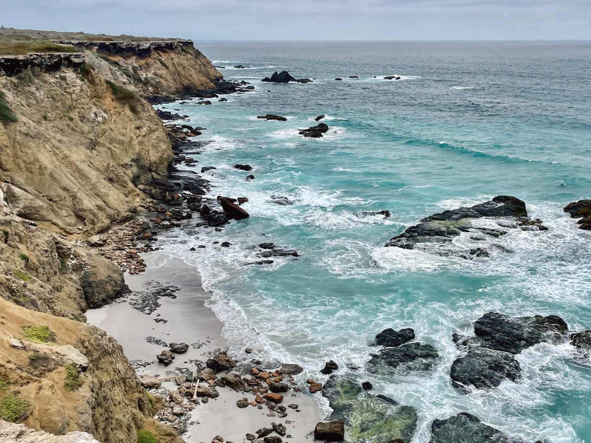 Excursion to Isla de la Plata 🐋 | Daymaker