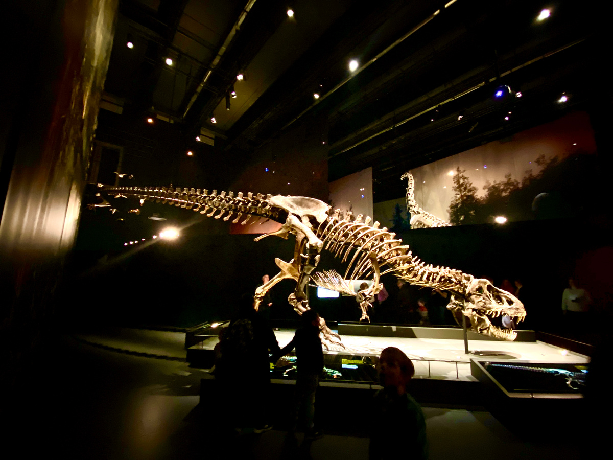 A day at Naturalis Museum | Daymaker