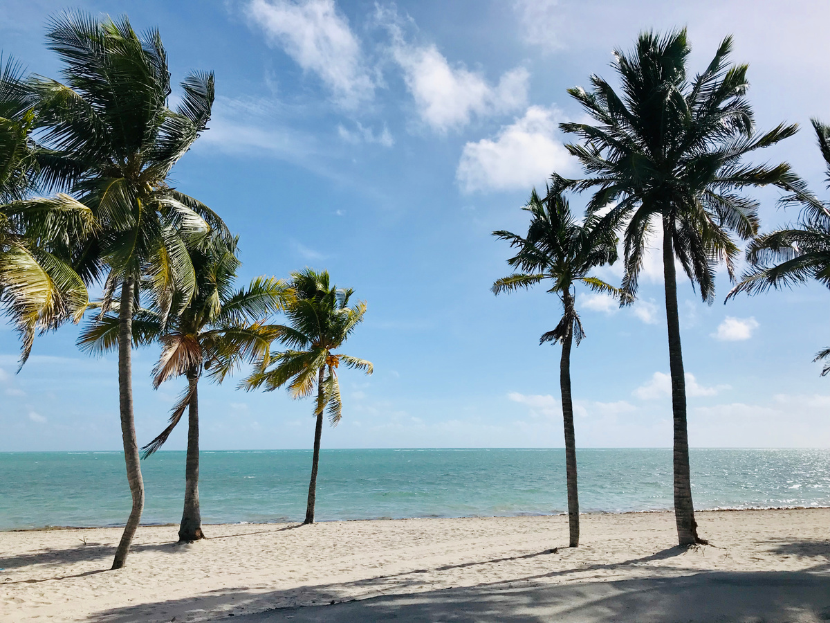 Day trip from Miami to The Keys | Daymaker