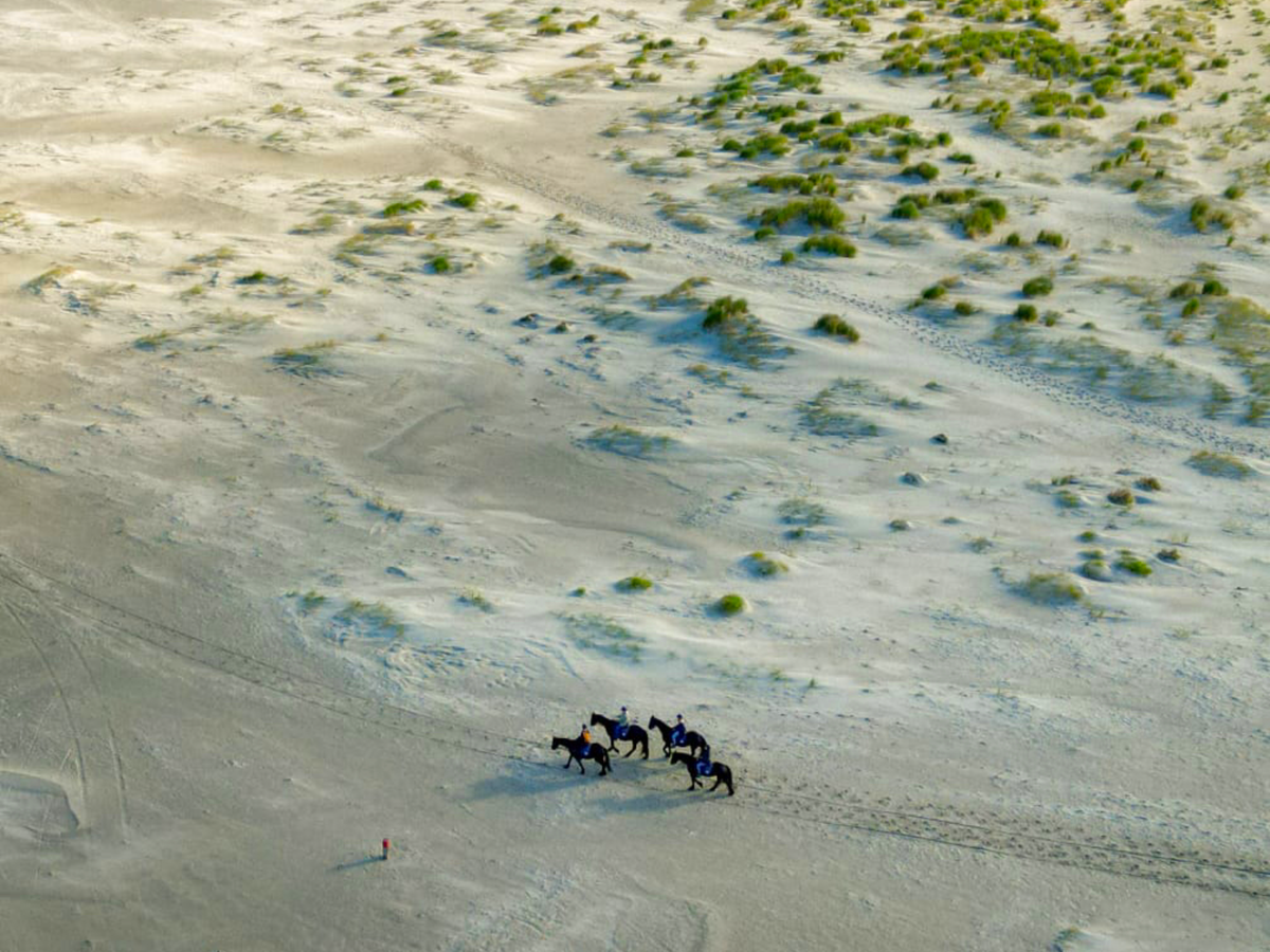 Weekendje op de Wadden eilanden | Daymaker