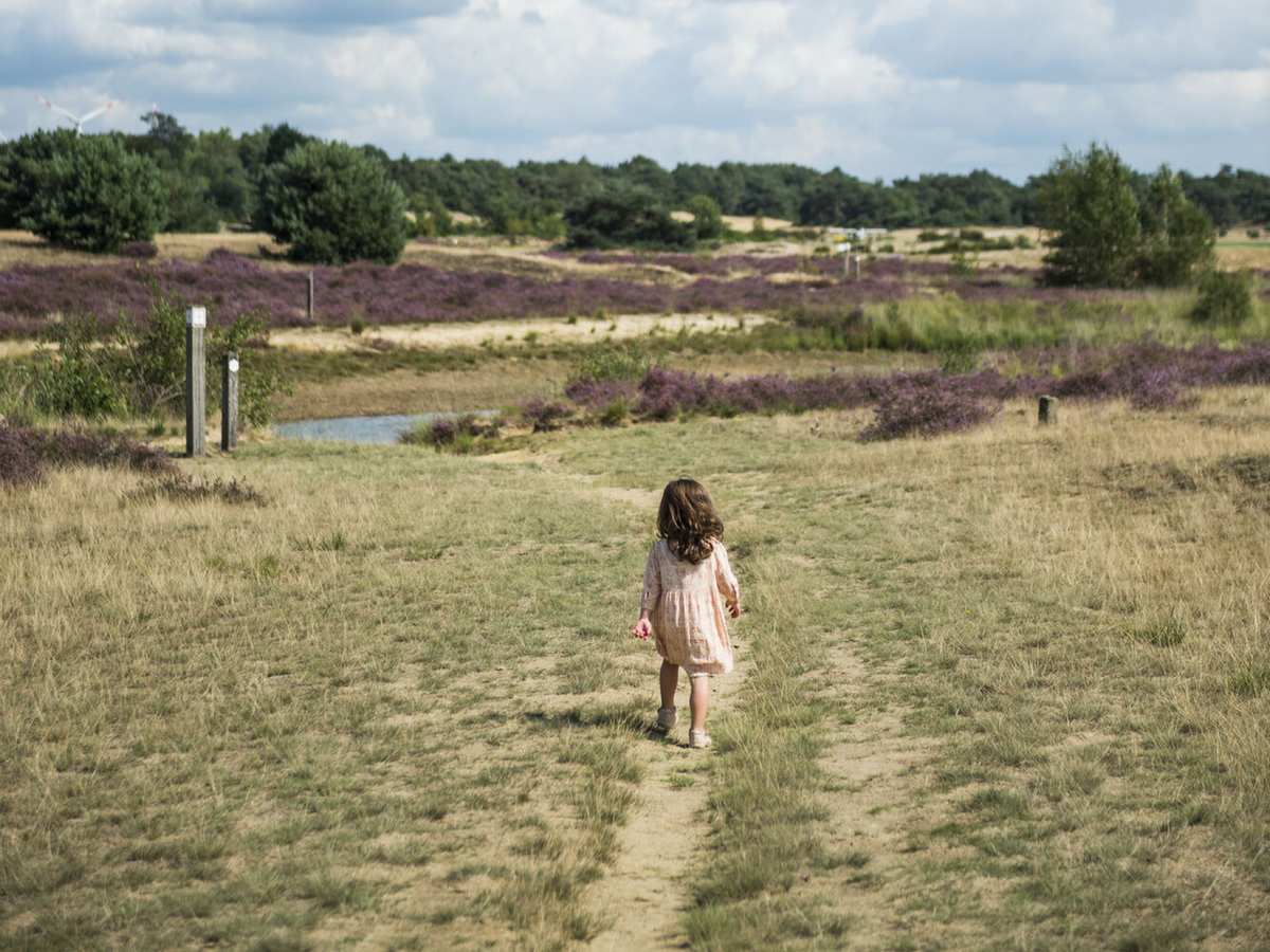 Woestijnparadijs bij de Keiheuvelwandeling | Daymaker