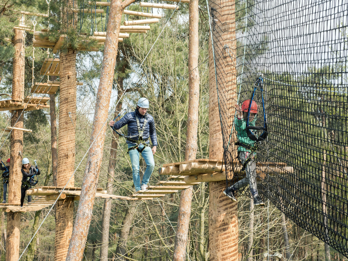 Swing als Tarzan in Klimpark De Mosten | Daymaker
